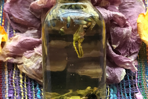 OBSESSION OIL
